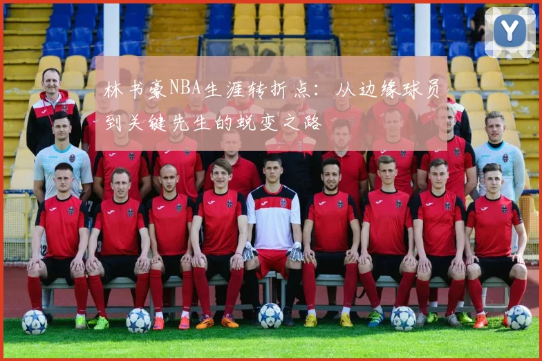林书豪NBA生涯转折点:从边缘球员到关键先生的蜕变之路