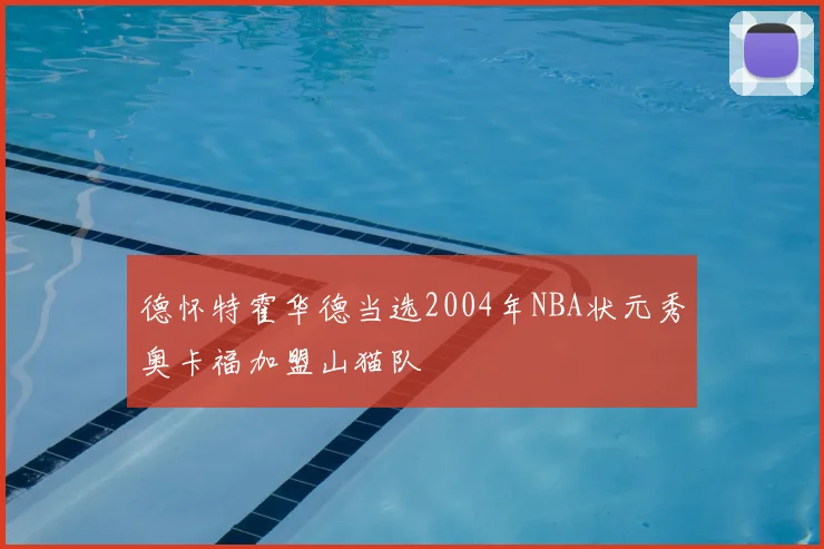 德怀特霍华德当选2004年NBA状元秀奥卡福加盟山猫队